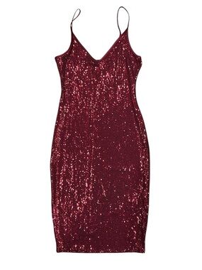 Express Womens Small Burgurdy Metallic Shimmer Mini Dress
